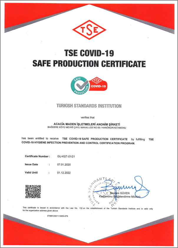 TSE Covid 19 Safe Production Certificate